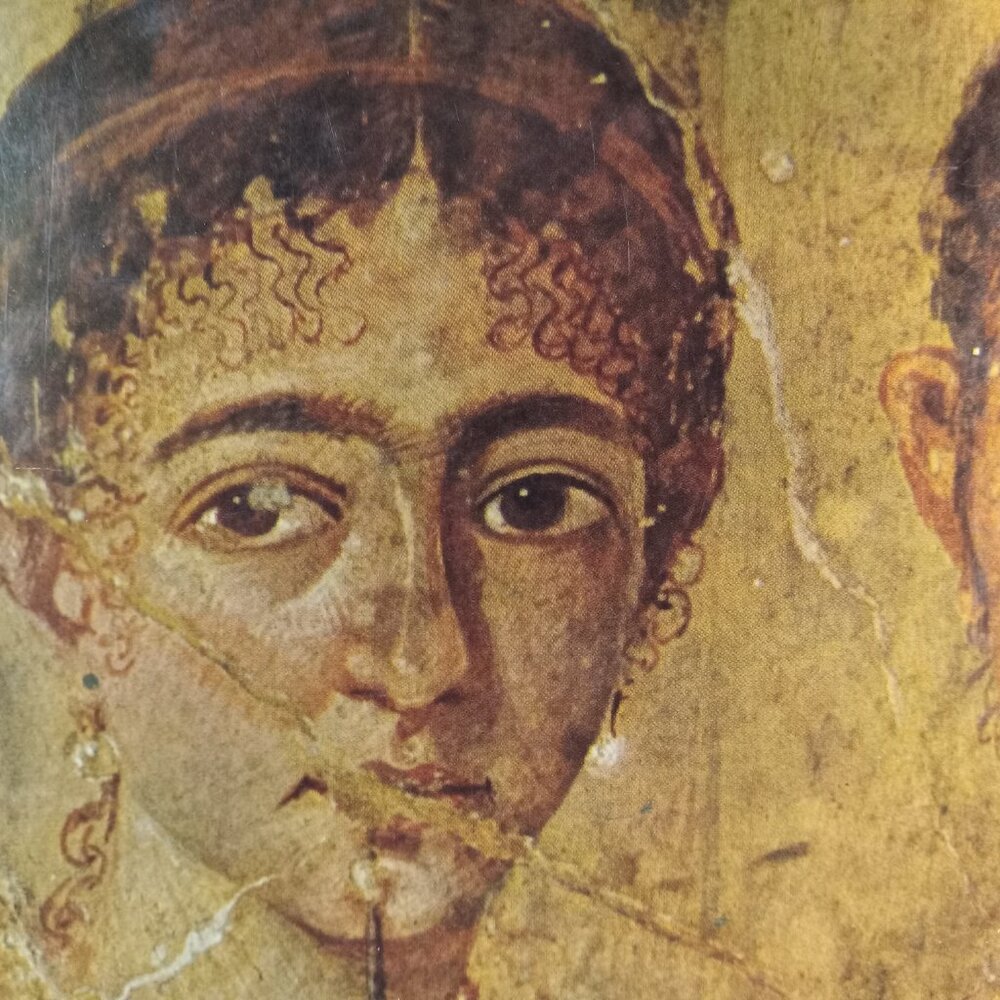 The Glory That Was Pompeii (HCDJ) Illustrated History Book by Patricia Vanags - Picture 7 of 8